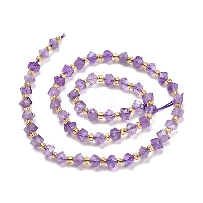 Natural Amethyst Beads Strands G-P463-40-1