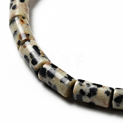 Natural Dalmatian Jasper Beads Strands G-I326-07-1