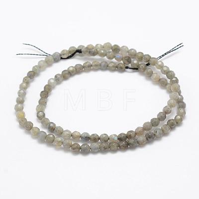 Natural Labradorite Beads Strands G-P322-30-4mm-1