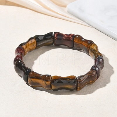 Bamboo Natural Tiger Eye Beads Stretch Bracelets for Women Men BJEW-K304-01I-1
