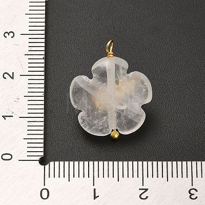 Natural Quartz Crystal Pendants G-C290-02B-1