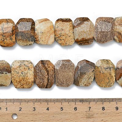 Natural Picture Jasper Beads Strands G-C285-A11-01-1
