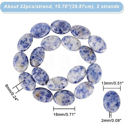  2 Strands Flat Oval Natural Blue Spot Jasper Beads Strands G-NB0003-78-1