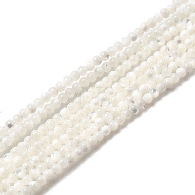 Natural White Shell Beads X-G-N0190-11-2mm-1