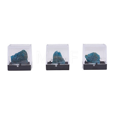 Nuggets Natural Apatite DJEW-F011-03C-1