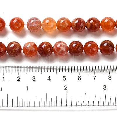Natural Fire Crackle Agate Beads Strands G-G212-10mm-10-1