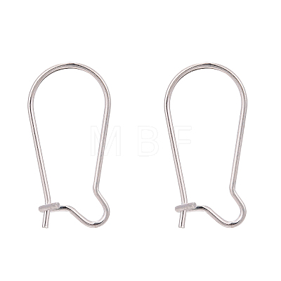 925 Sterling Silver Hoop Earrings Findings STER-S002-55A-01-1