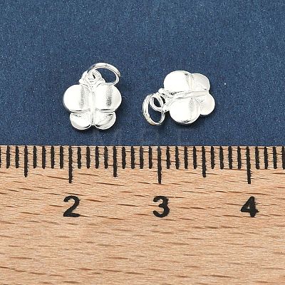 925 Sterling Silver Charms STER-A050-03C-S-1