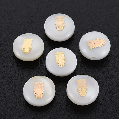 Natural Freshwater Shell Beads SHEL-S278-059-1