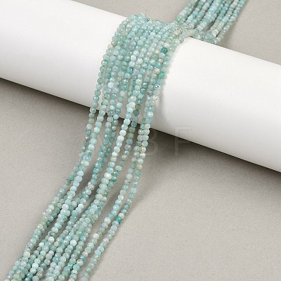 Natural Amazonite Bead Strands X-G-P279-42-2mm-01-1