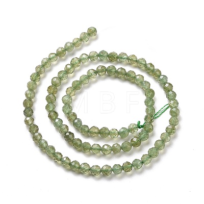 Natural Apatite Beads Strands G-C009-A22-1