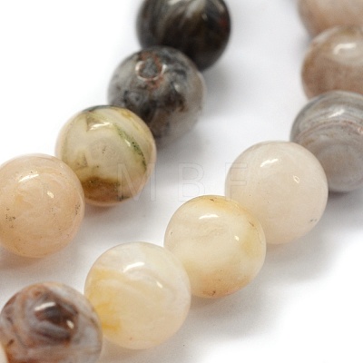 Natural Bamboo Leaf Agate Beads Strands G-G763-03-8mm-1