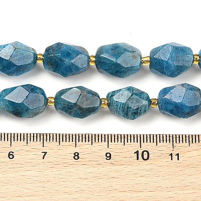 Natural Apatite Beads Strands G-P541-A01-06-1