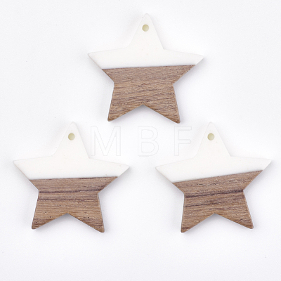 Resin & Walnut Wood Pendants RESI-T023-23B-1