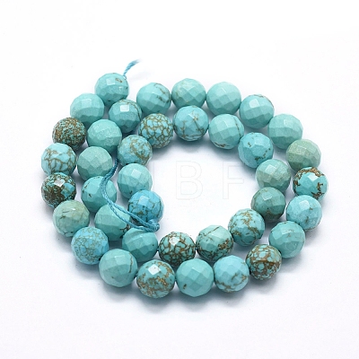 Natural Magnesite Beads Strands G-D0012-01D-1
