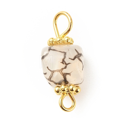 Natural Agate Connector Charms PALLOY-JF01587-04-1
