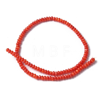 Natural Freshwater Shell Beads Strands SSHEL-C013-08A-1
