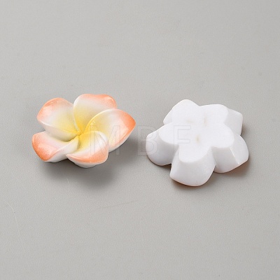 Two Tone Resin Cabochons LS-RESI-WH20010-01D-1