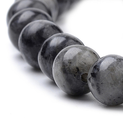 Natural Larvikite Beads Strands X-G-S259-06-12mm-1