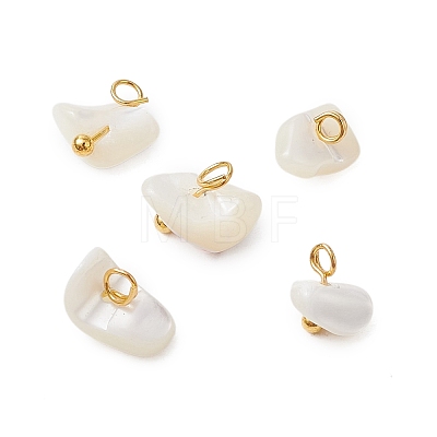 Natural Trochus Shell Chip Charms PALLOY-JF03437-01-1