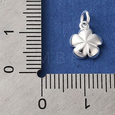 925 Sterling Silver Charms STER-M120-01D-S-1