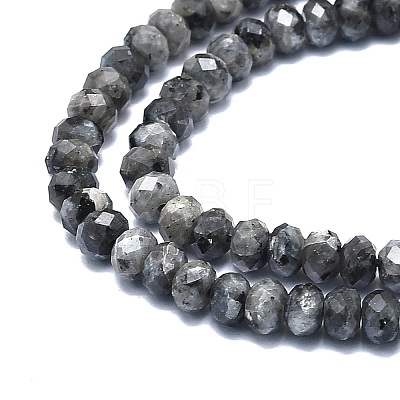 Natural Larvikite Beads Strands G-F715-098-1