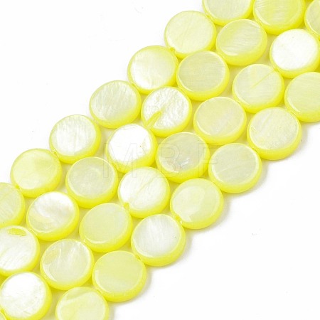 Freshwater Shell Beads Strands SHEL-T009-B16-01-1