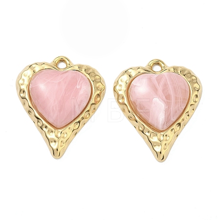 304 Stainless Steel & Resin Pendants STAS-G371-18G-01-1