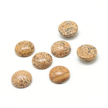 Natural Picture Jasper Gemstone Cabochons G-T020-20mm-08-1