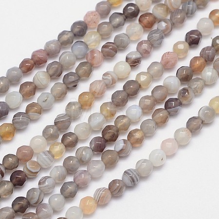 Faceted Natural Botswana Agate Round Beads Strands G-I166-01-4mm-1