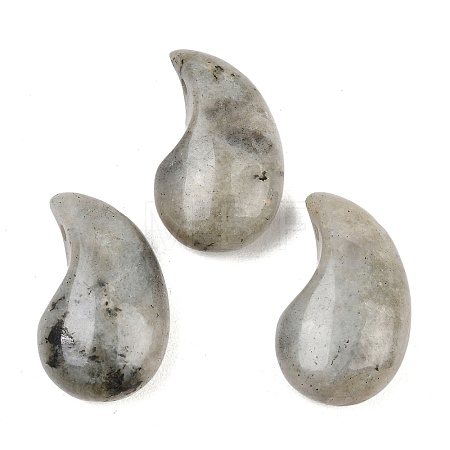 Natural Labradorite Pendants G-B195-03L-1