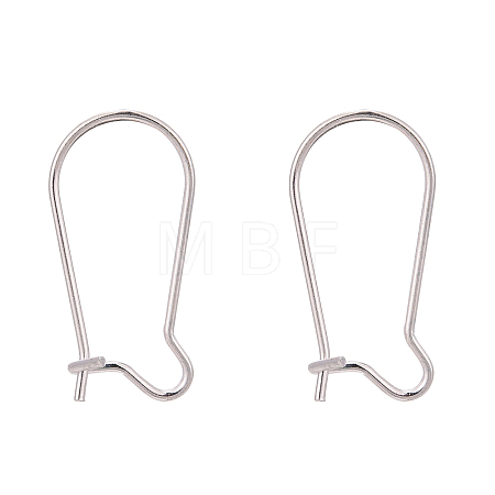 925 Sterling Silver Hoop Earrings Findings STER-S002-55A-01-1