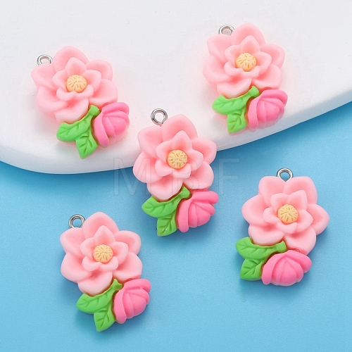 Resin Pendants PW-WG225B2-02-1