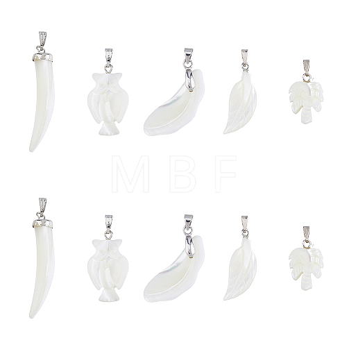 SUPERFINDINGS 10Pcs 5 Style Natural Trochid Shell/Trochus Shell Pendants SSHEL-FH0001-18-1