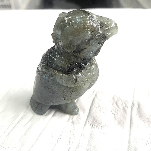 Natural Labradorite Carved Parrot Figurines PW-WGCDB06-08-1