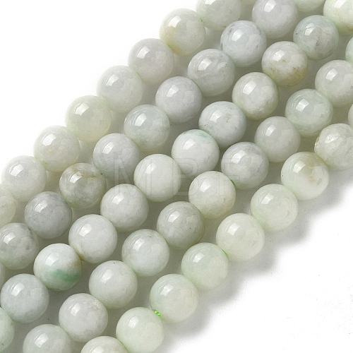 Natural Myanmar Jadeite Beads Strands G-L595-C01-01A-1