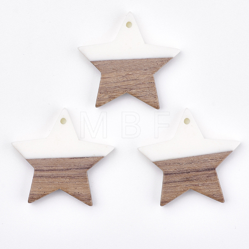 Resin & Walnut Wood Pendants RESI-T023-23B-1