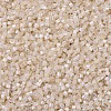 MIYUKI Delica Beads SEED-MY11-DB1874-3