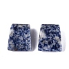 Natural Blue Spot Jasper Pendants G-G602-07H-1
