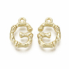 Alloy Pendants PALLOY-S137-001G-NR-1