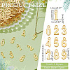 12 Sets Alloy Pendants TIBEP-ME0001-12G-2
