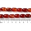 Barrel Shaped Gemstone Dyed Natural Red Agate Stone Beads Strands G-S114-05-3