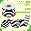 Polyester Ribbon OCOR-WH0111-173-2