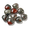 Natural African Bloodstone Beads G-P531-A21-01-1