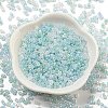 Ceylon Glass Seed Beads SEED-K009-02B-44-2