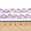 Transparent Glass Beads Strands GLAA-H038-03D-4