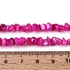 Natural Freshwater Shell Beads Strands SHEL-N037-04E-4