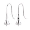 304 Stainless Steel Earring Hooks LS-STAS-N108-30P-1