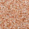 TOHO 8/0 Round Beads X-SEED-TR08-0031-2