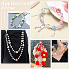 13Pcs 13 Colors Fruit Round Resin Beads RESI-PA0001-53-5